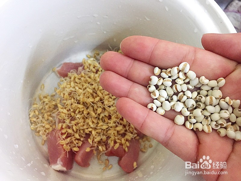 麦芽瘦肉汤怎么做