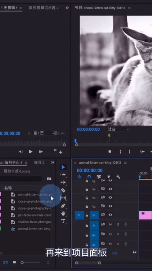 教你pr制作缩放卡点效果