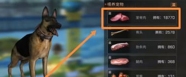 明日之后如何喂养宠物