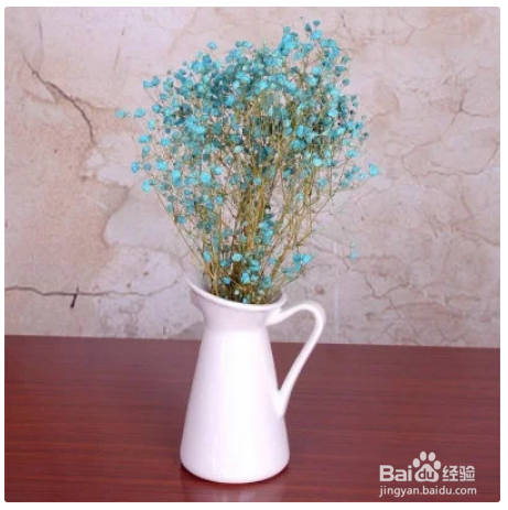 鲜花的养护和保鲜方法