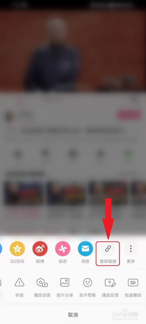 哔哩哔哩app如何查看视频bv号