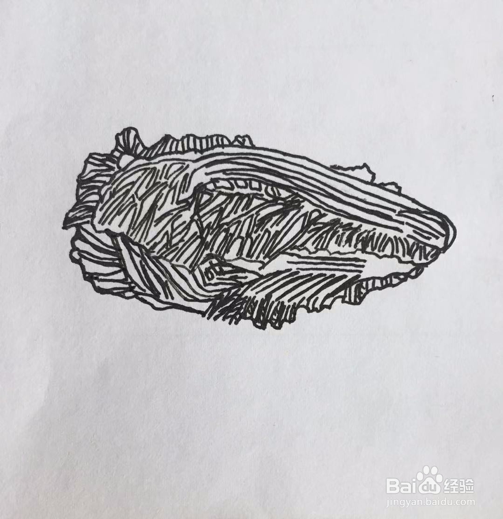 茉莉手绘之白菜与豆腐