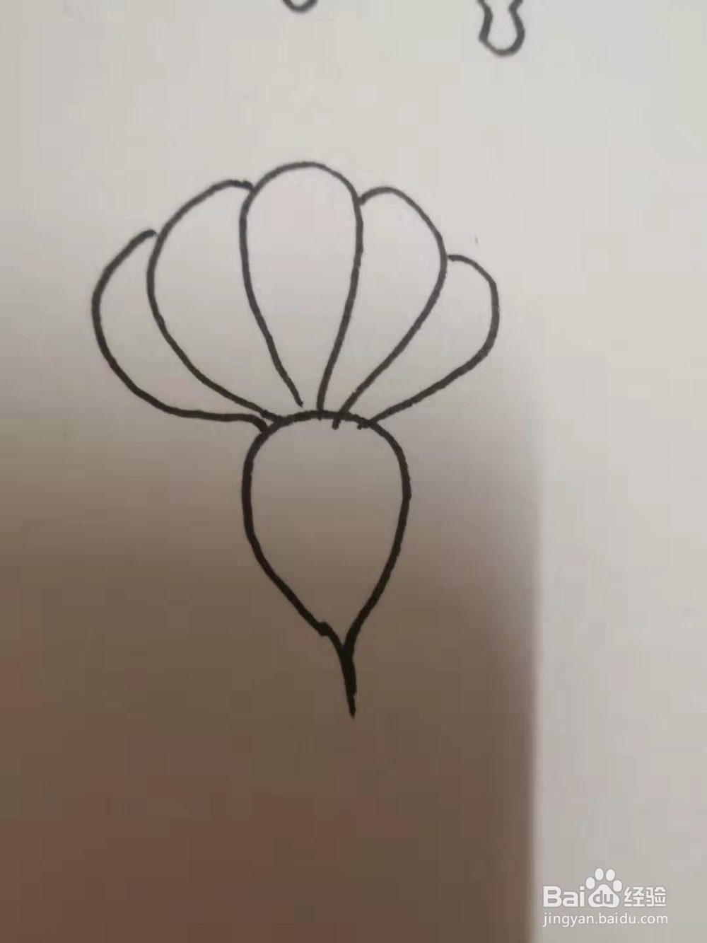 萝卜的简笔画