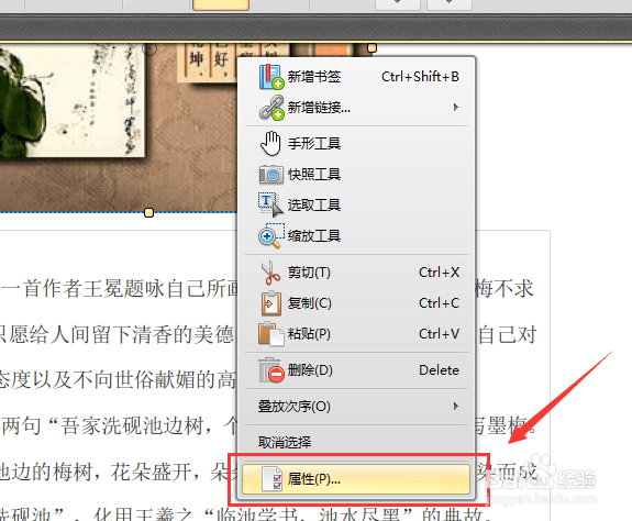 WPS使用技巧之用什么软件可以编辑pdf文件