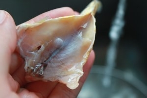 教大家做清蒸小黄鱼