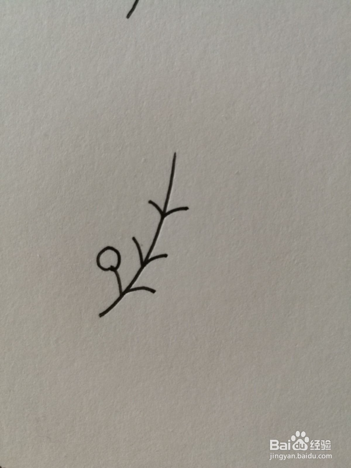 小草简笔画之画法十四