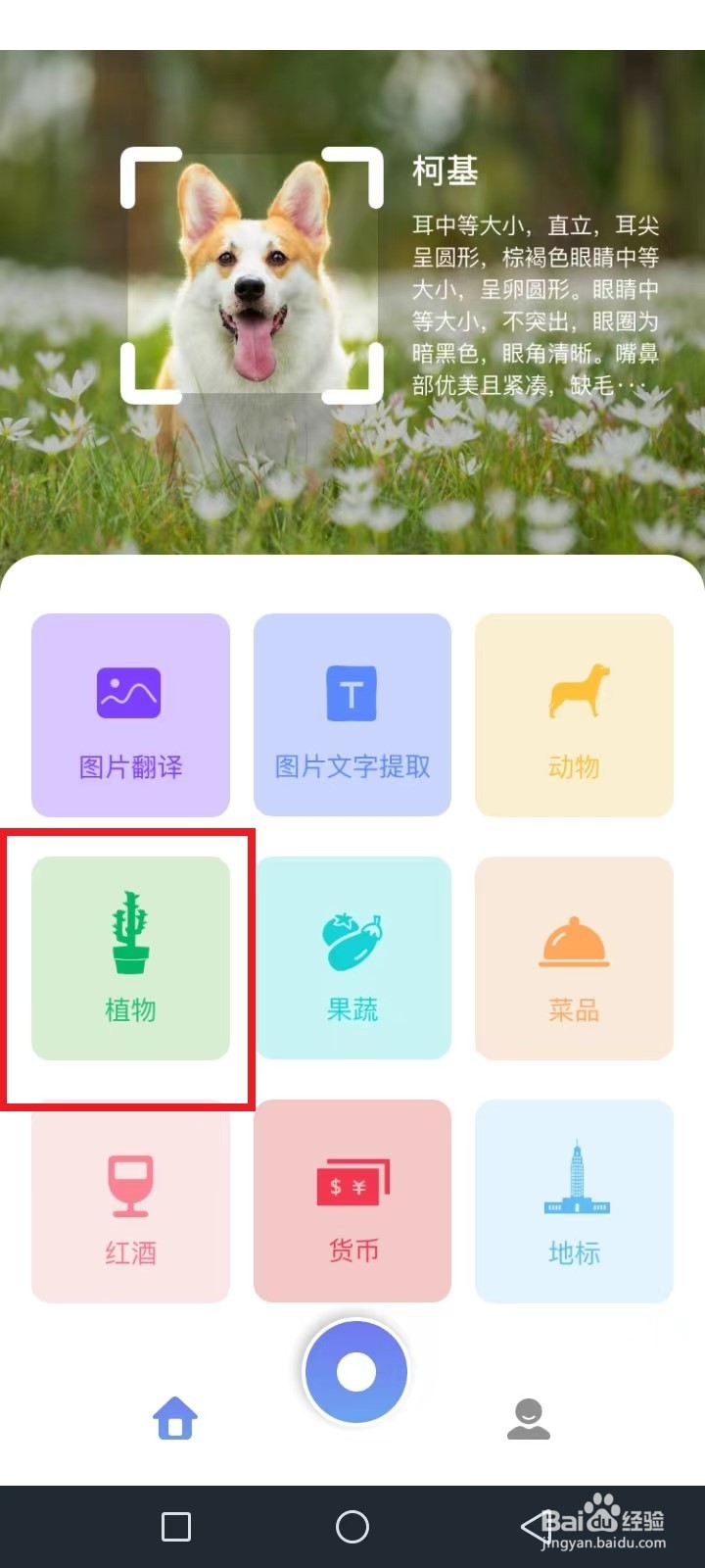 识花君怎么不识别花了