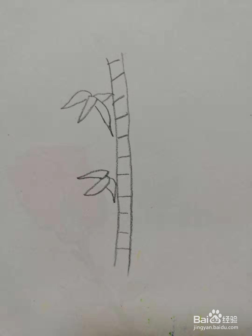 如何画竹子?