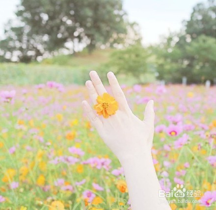 怎么度过那段迷茫的时光
