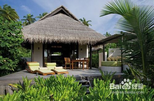 马尔代夫可可棕榈岛