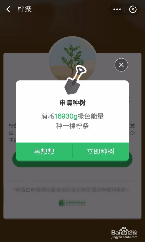 蚂蚁森林里面如何申请种植柠条?