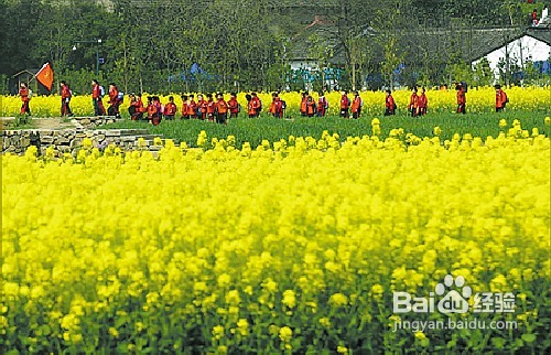 春季云南旅游需要注意的事项