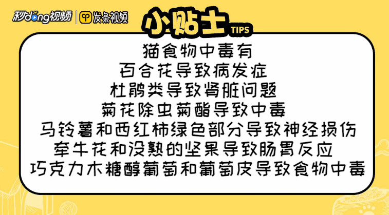 猫不能吃的食物有哪些