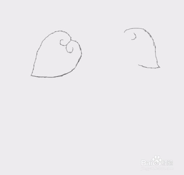 简笔画猪是怎么画的