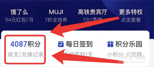 支付宝在哪查看积分收支明细