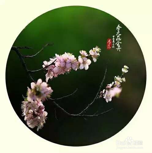 如何准备大学英语四级考试的