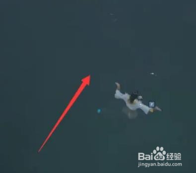 太荒初境紫灵花位置攻略