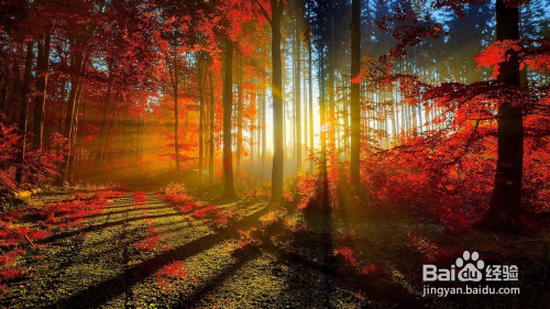 学PS多年，还不知道这40个PS小技巧