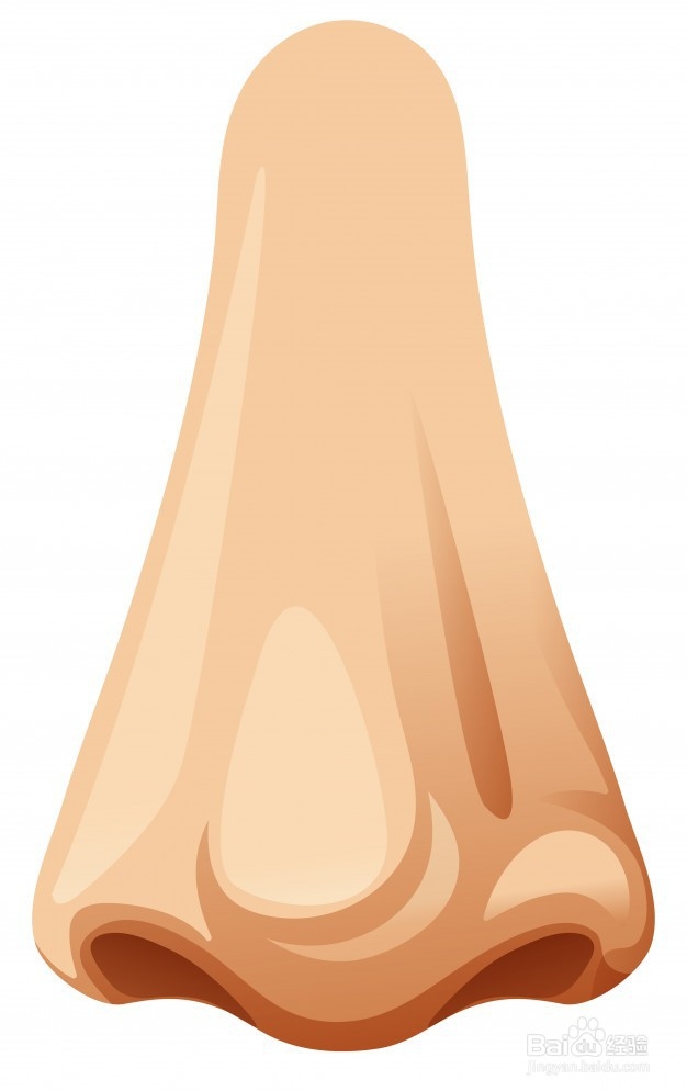 如何选购好花胶,怎样正确吃花胶?