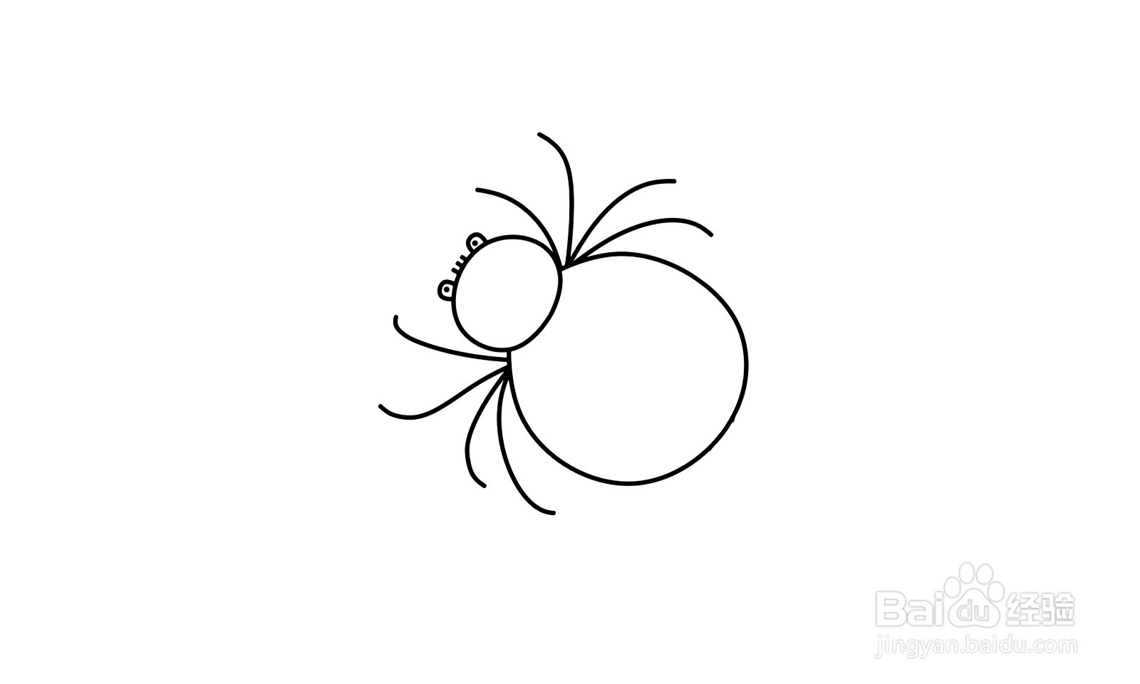 简笔画蜘蛛怎么画？