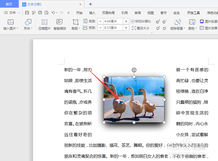 WPS文档中怎么更改图片阴影的颜色