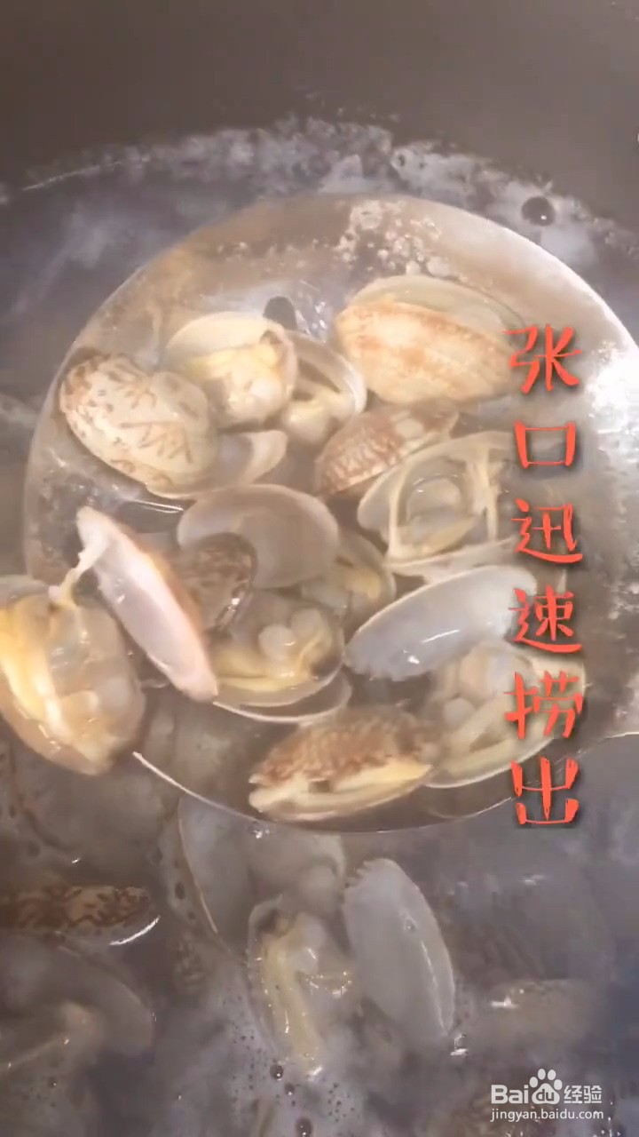 如何自制好吃美味的辣炒花甲