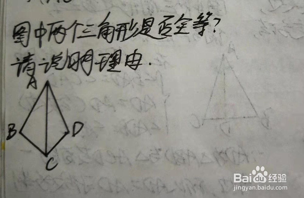 判定三角形全等（AAS）例一