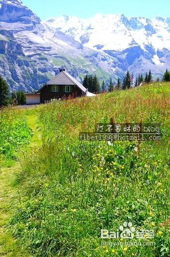 [转载]到瑞士最不能错过的事情