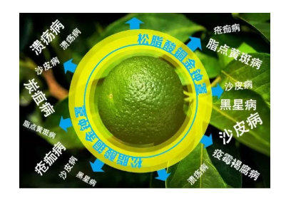 松脂酸铜使用及混用注意事项