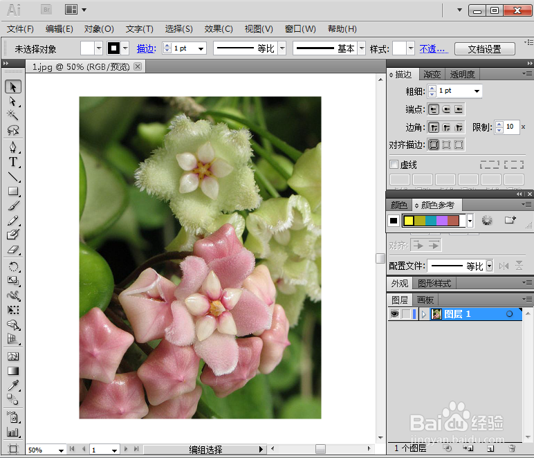 在AI中给图片添加墨水轮廓和扭曲效果