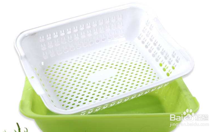 如何在阳台用纸种蔬菜?