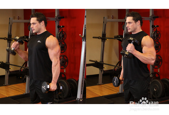 肱二头肌锻炼方法