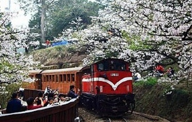 《布谷鸟》节目串词