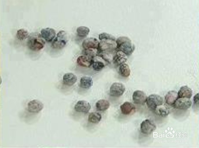 塑料瓶变身彩色花