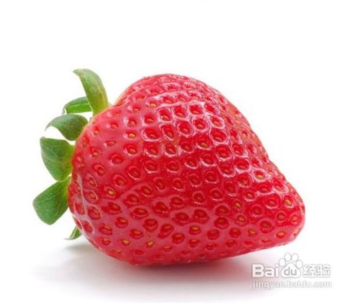 夏天怎么样才可以减肥