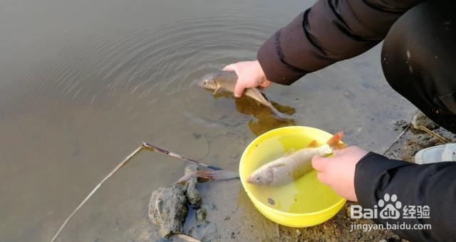 南方立春后阴雨天气如何钓鱼