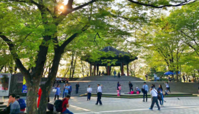 韩国N首尔塔怎么玩?