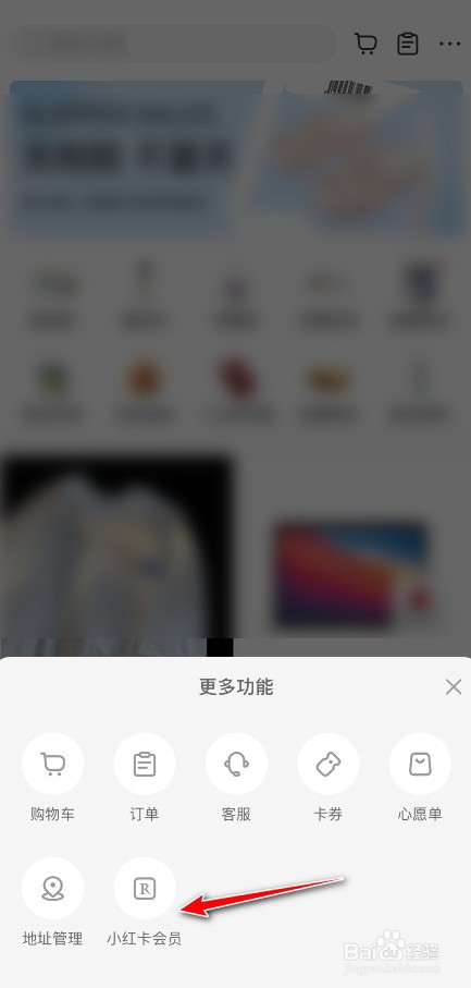 小红书的红卡会员怎么开通