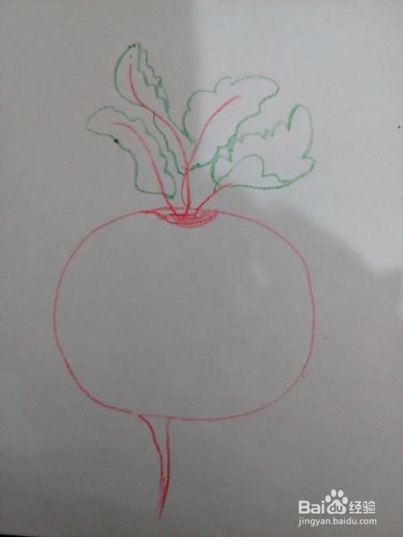 怎样简笔画萝卜