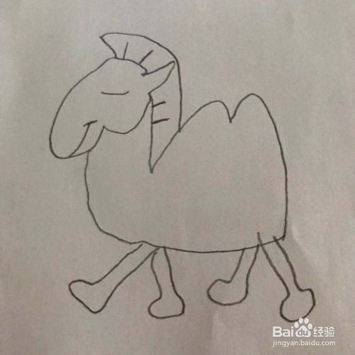 怎么画骆驼呢？