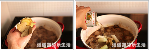 炖一锅羊肉为了谁----秘制红焖羊肉