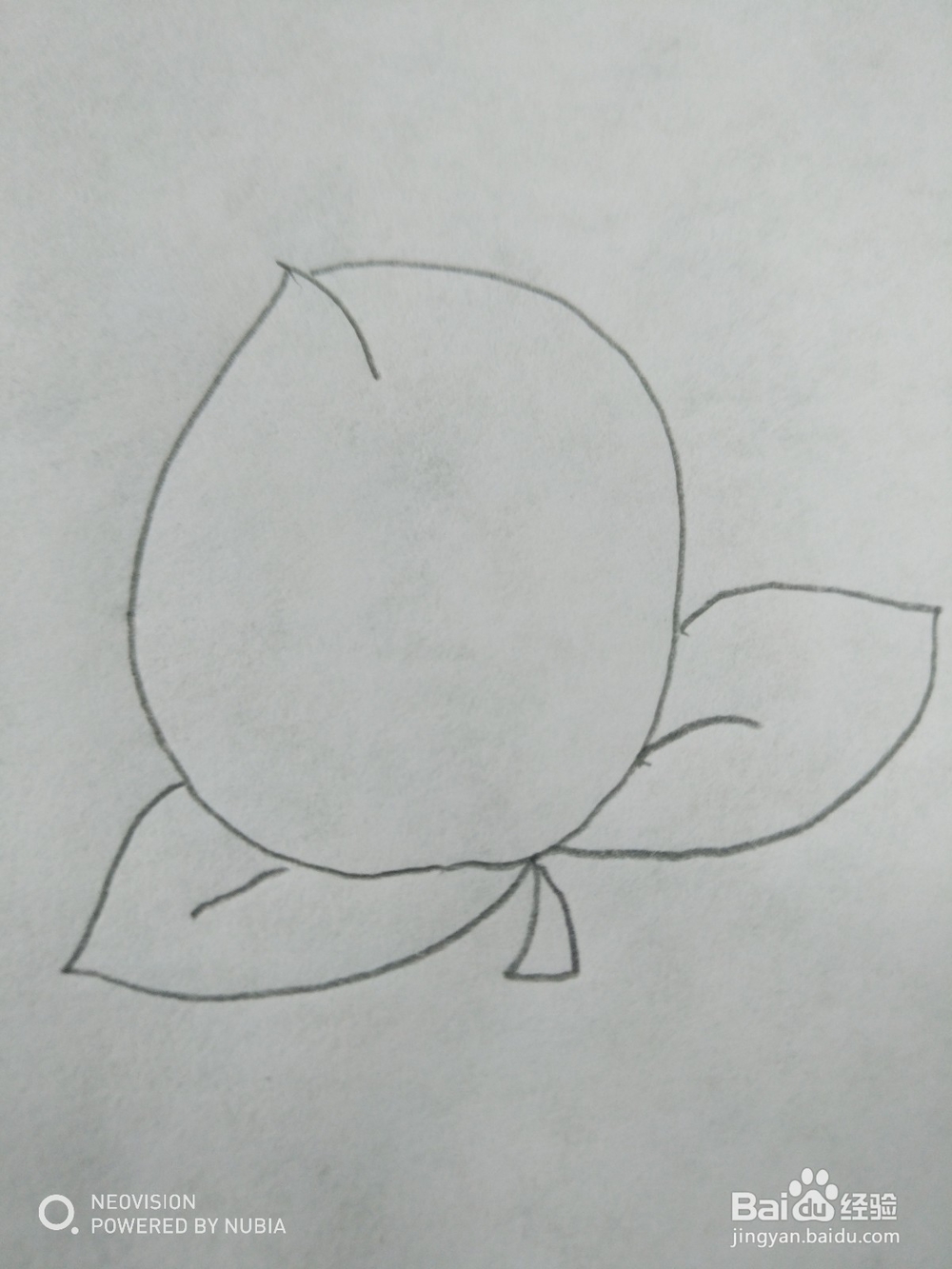 好吃的桃子怎么画