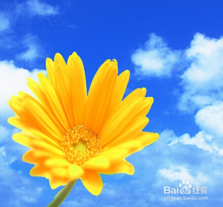 怎样写网络小说