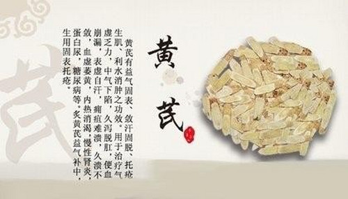 黄芪泡水喝有什么作用