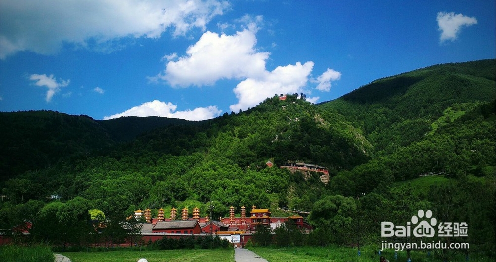 让我带你去旅行