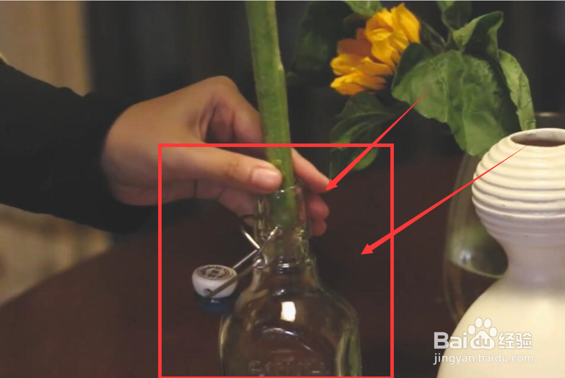 向日葵插水里要怎么养