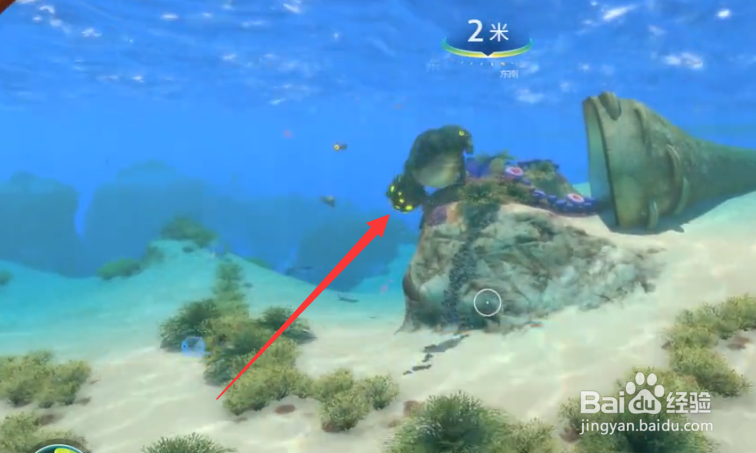 深海迷航毒气囊怎么获得