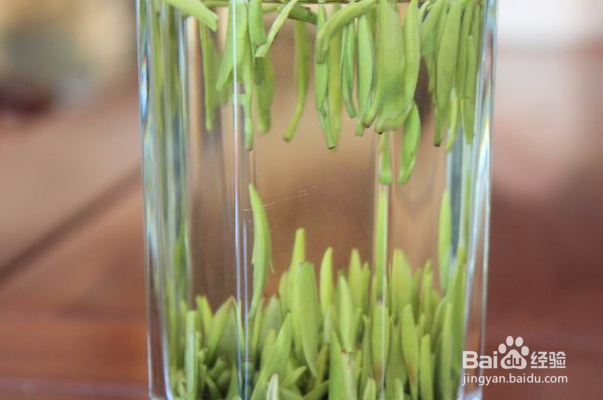 哪些食物帮你降低辐射伤害？