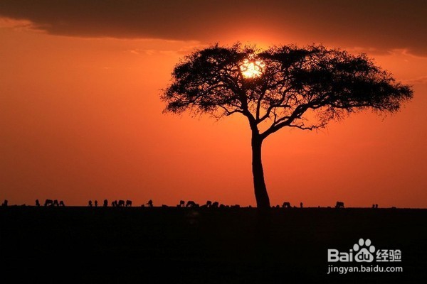 单反相机如何正确曝光