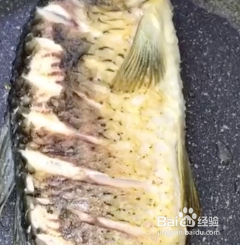 怎样炖鲫鱼豆腐汤好喝呢